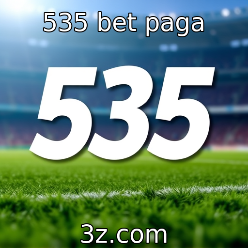 535 Bet registra aumento no número de usuários